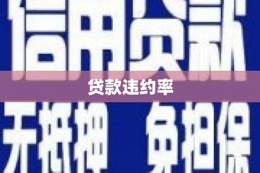 新社贷款违约率