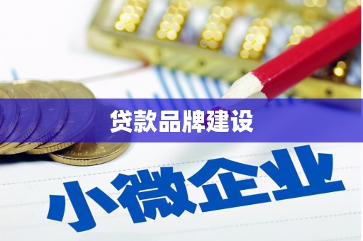 新社贷款品牌建设