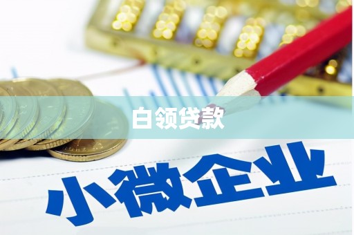 新社白领贷款
