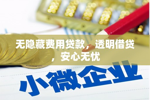 新社无隐藏费用贷款，透明借贷，安心无忧