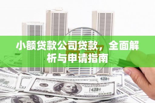 新社小额贷款公司贷款，全面解析与申请指南