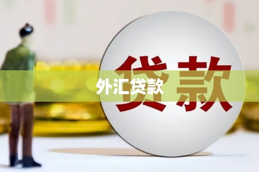 新社外汇贷款