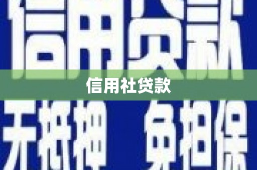 新社信用社贷款