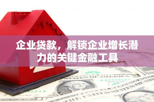 新社企业贷款，解锁企业增长潜力的关键金融工具
