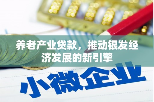 新社养老产业贷款，推动银发经济发展的新引擎