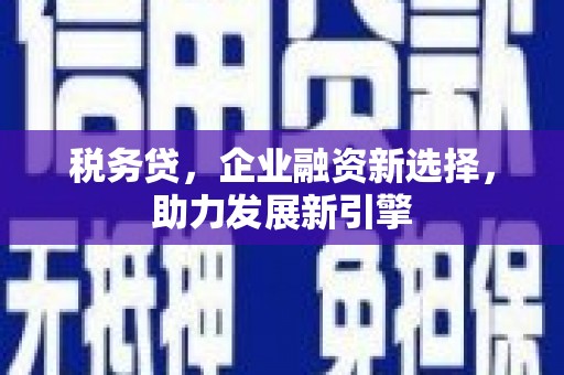 新社税务贷，企业融资新选择，助力发展新引擎