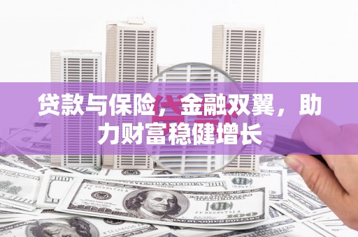 新社贷款与保险，金融双翼，助力财富稳健增长