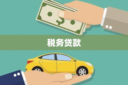 新社税务贷款