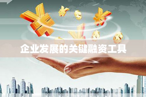 新社企业发展的关键融资工具