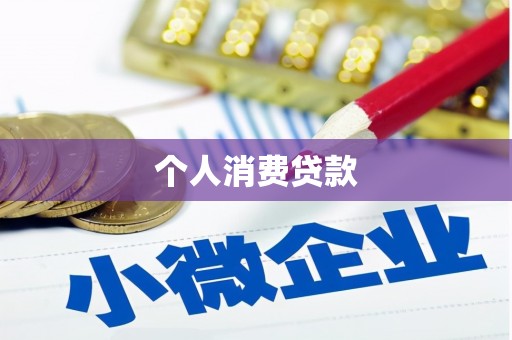 新社个人消费贷款