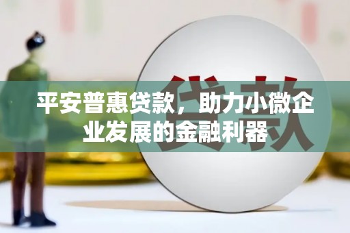 新社平安普惠贷款，助力小微企业发展的金融利器