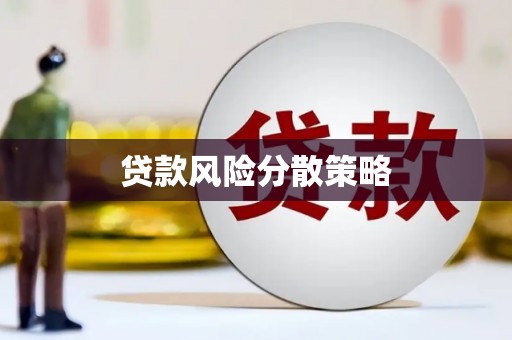 新社贷款风险分散策略