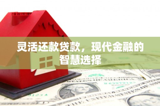 新社灵活还款贷款，现代金融的智慧选择