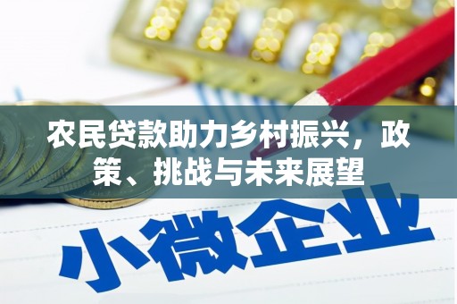 新社农民贷款助力乡村振兴，政策、挑战与未来展望