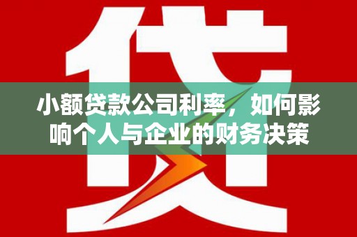 新社小额贷款公司利率，如何影响个人与企业的财务决策