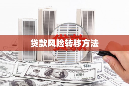 新社贷款风险转移方法