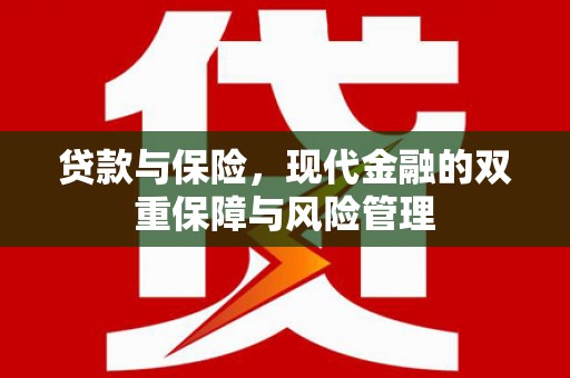 新社贷款与保险，现代金融的双重保障与风险管理