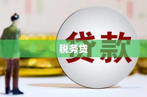 新社税务贷