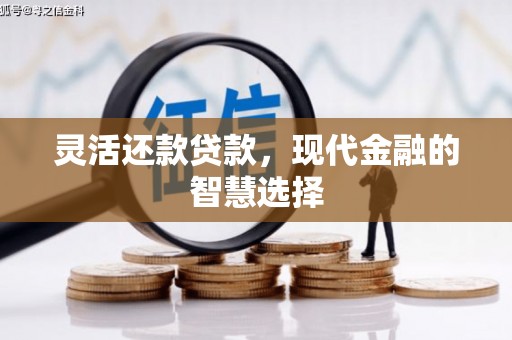 新社灵活还款贷款，现代金融的智慧选择