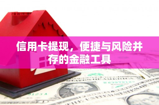 新社信用卡提现，便捷与风险并存的金融工具