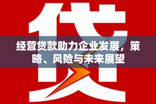 新社经营贷款助力企业发展，策略、风险与未来展望
