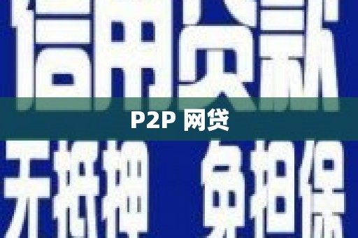 新社P2P 网贷