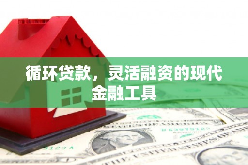 新社循环贷款，灵活融资的现代金融工具