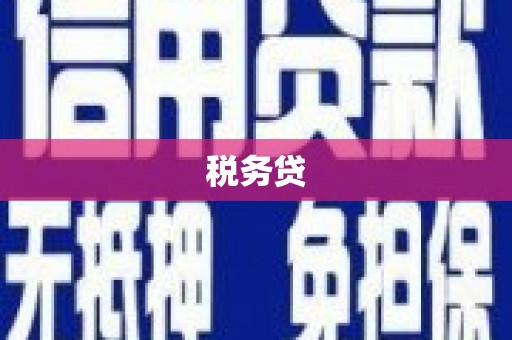新社税务贷