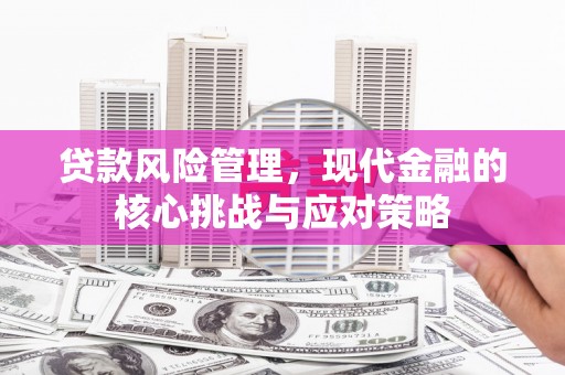 新社贷款风险管理，现代金融的核心挑战与应对策略