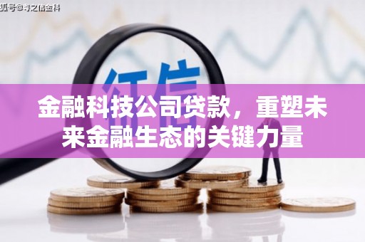 新社金融科技公司贷款，重塑未来金融生态的关键力量
