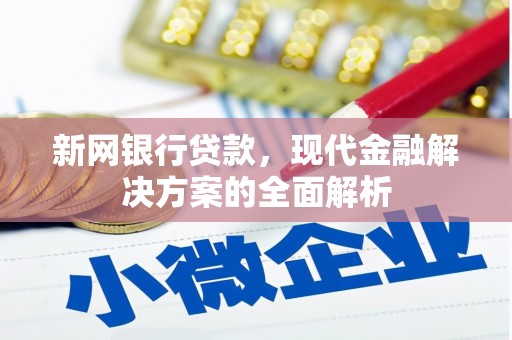 新社新网银行贷款，现代金融解决方案的全面解析