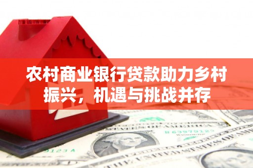 新社农村商业银行贷款助力乡村振兴，机遇与挑战并存