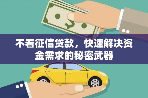 新社不看征信贷款，快速解决资金需求的秘密武器