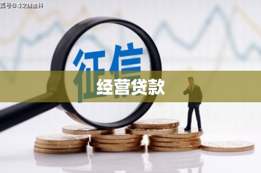 新社经营贷款