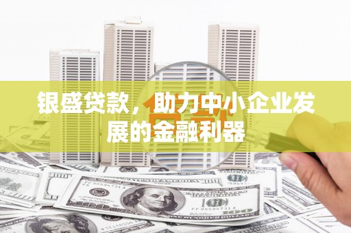 新社银盛贷款，助力中小企业发展的金融利器