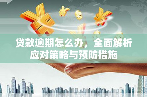 新社贷款逾期怎么办，全面解析应对策略与预防措施