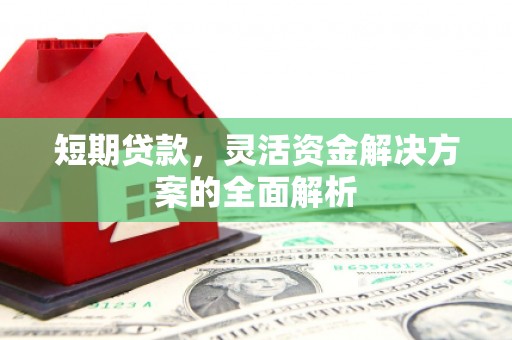 新社短期贷款，灵活资金解决方案的全面解析