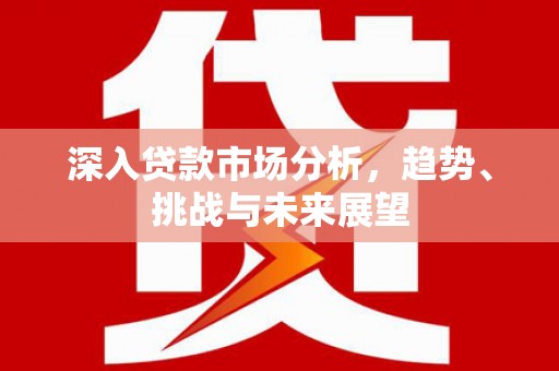 新社深入贷款市场分析，趋势、挑战与未来展望