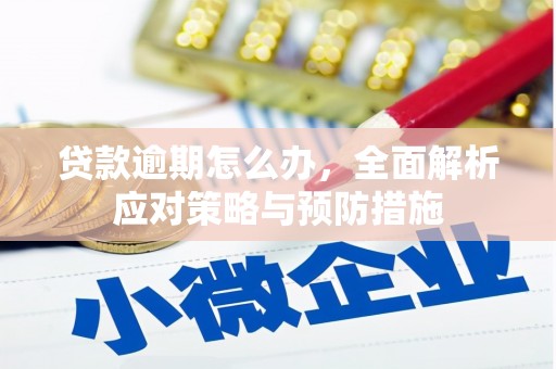 新社贷款逾期怎么办，全面解析应对策略与预防措施