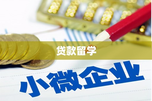 新社贷款留学