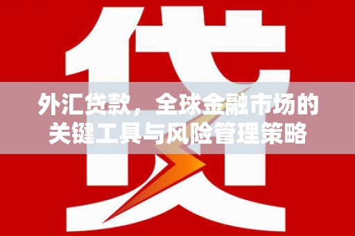 新社外汇贷款，全球金融市场的关键工具与风险管理策略