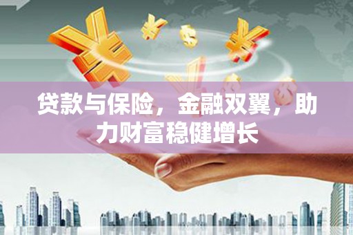 新社贷款与保险，金融双翼，助力财富稳健增长