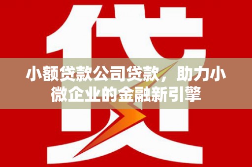 新社小额贷款公司贷款，助力小微企业的金融新引擎