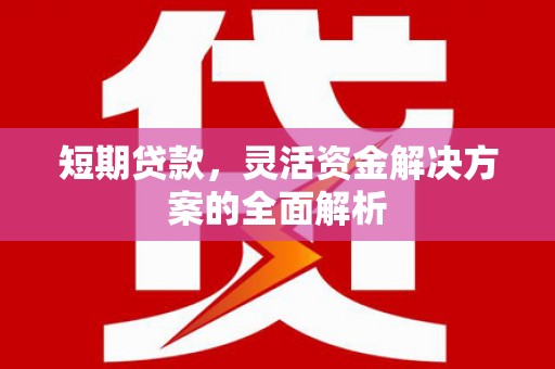 新社短期贷款，灵活资金解决方案的全面解析