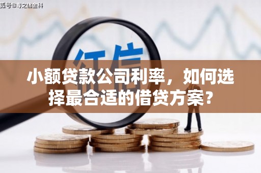 新社小额贷款公司利率，如何选择最合适的借贷方案？