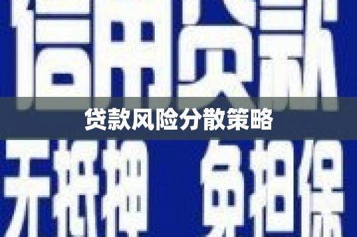 新社贷款风险分散策略