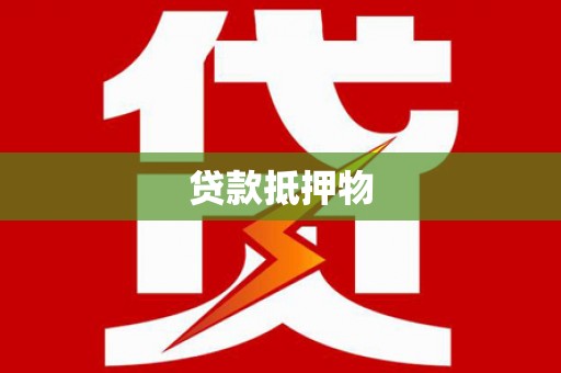 新社贷款抵押物