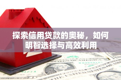 新社探索信用贷款的奥秘，如何明智选择与高效利用