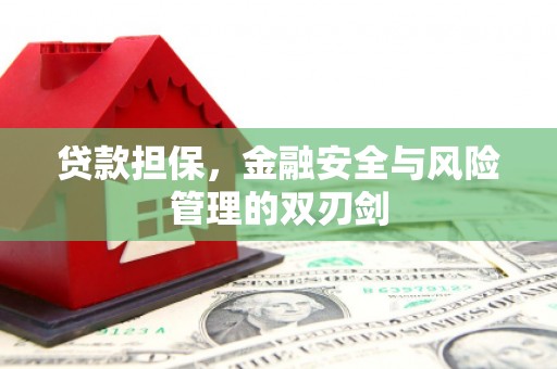 新社贷款担保，金融安全与风险管理的双刃剑