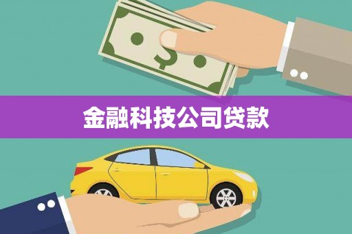 新社金融科技公司贷款